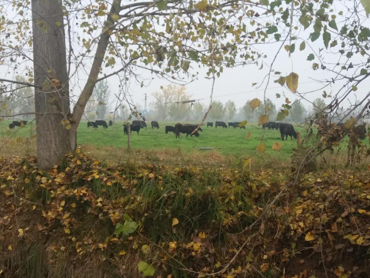 Agriturismo Cascina Pezzolo Lodi Eksteriør bilde
