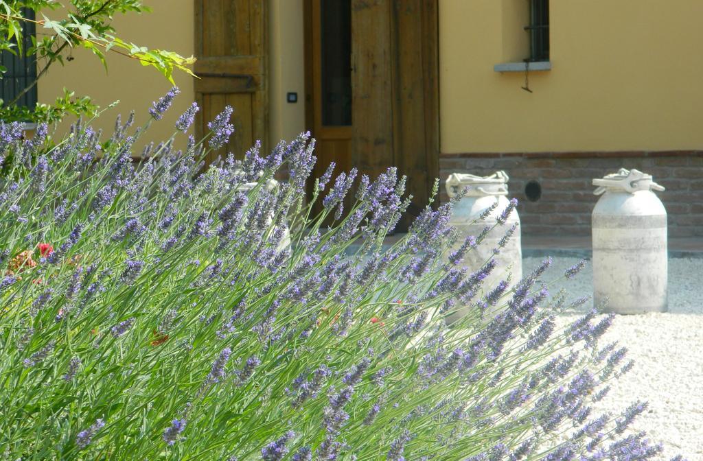 Agriturismo Cascina Pezzolo Lodi Eksteriør bilde